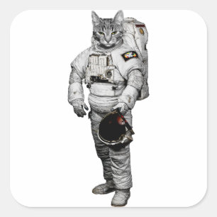 Katze Astronaut Aufkleber