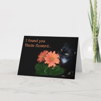 Katze Ate Your Birthday Blume Karte