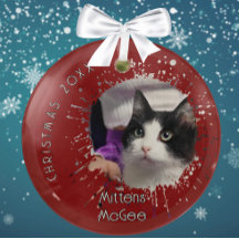 Katze auf 2025 Rotem Splatter-Muster-Weihnachten
