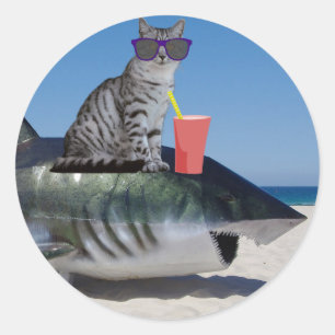 KATZE AUF BEACH SHARK RUNDER AUFKLEBER