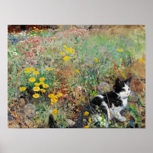 Katze auf Blumenbeet Poster (Vorne)