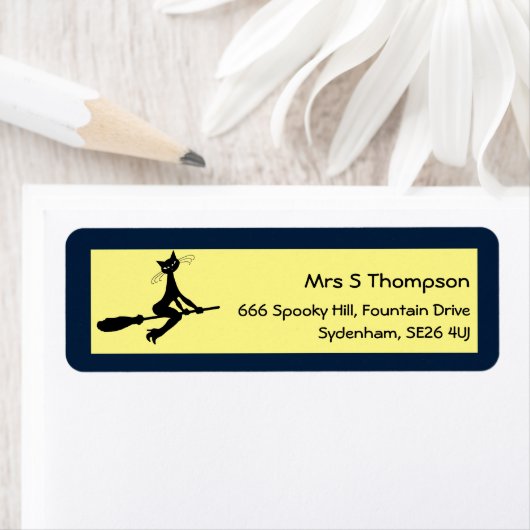 Katze auf Broomstick (Insitu)