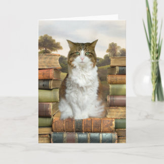 Katze auf Büchern Karte