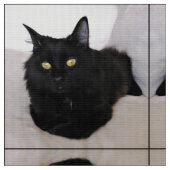 Katze auf Couch Stoff (Nahaufnahme)