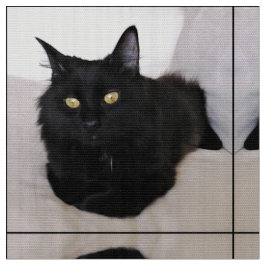 Katze auf Couch Stoff