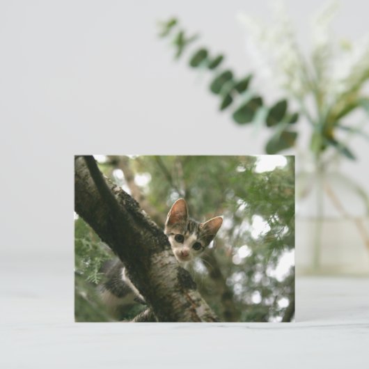 Katze auf dem Baum Postkarte (Stehend Vorderseite)