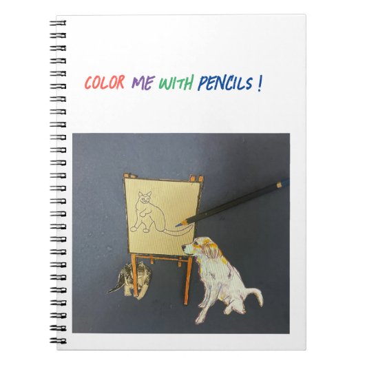 Katze auf dem Esel Notizblock (Vorderseite)