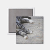 Katze auf dem Gehsteig Magnet (Vorderseite/Rückseite)
