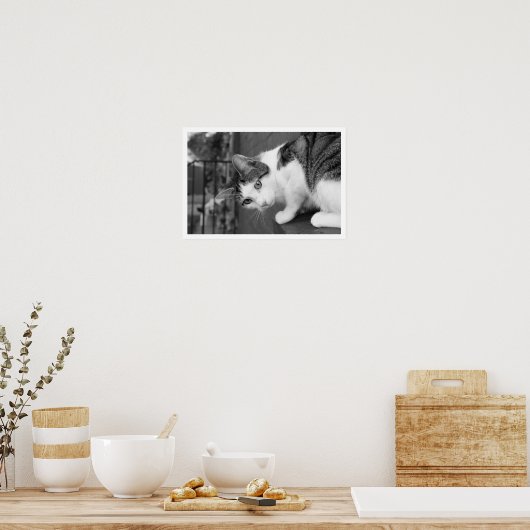 Katze auf dem Ledge Watching Bird Poster (Küche)