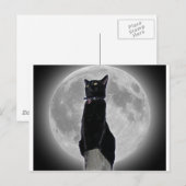 Katze auf dem Mond Postkarte (Vorne/Hinten)