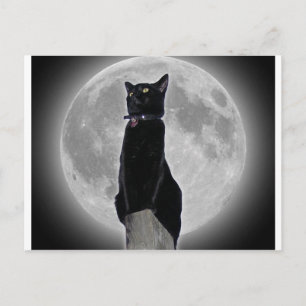 Katze auf dem Mond Postkarte