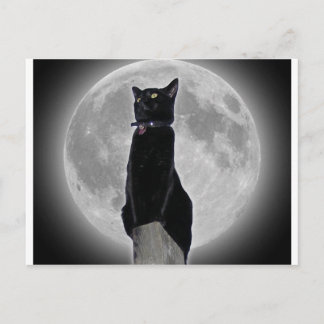 Katze auf dem Mond Postkarte
