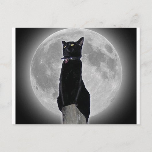 Katze auf dem Mond Postkarte (Vorderseite)