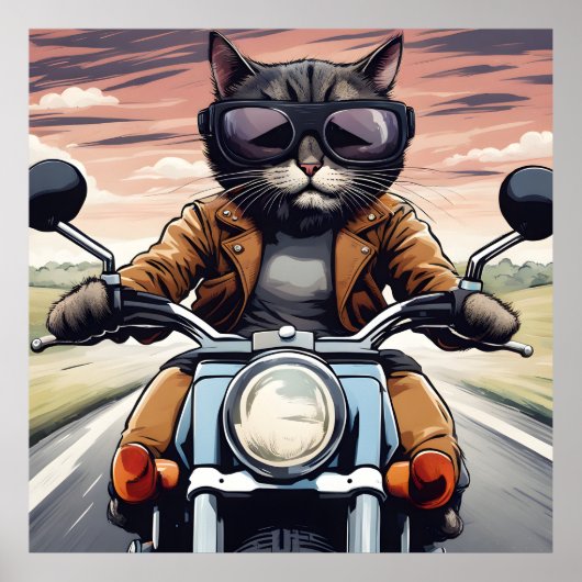 Katze auf dem Motorrad Poster (Vorne)