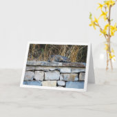 Katze auf der Rock Wall Karte (Gelbe Blume)