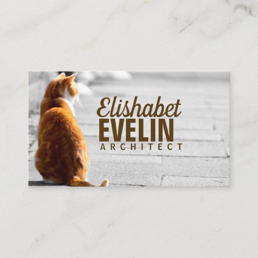 Katze auf der Straße sitzen Visitenkarte (Vorderseite)