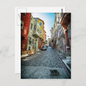 Katze auf der Straße von Istanbul Postkarte (Vorne/Hinten)