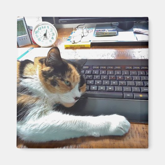 Katze auf der Tastatur Magnet (Vorne)