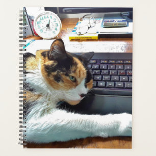 Katze auf der Tastatur Planer