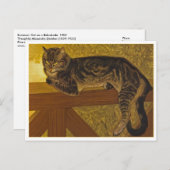 Katze auf einem Balustrade von Steinlen Postkarte (Vorne/Hinten)