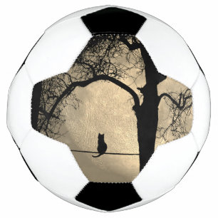 Katze auf einem Draht Vollmond Fußball