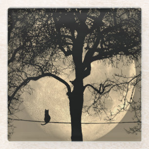 Katze auf einem Draht Vollmond Glasuntersetzer