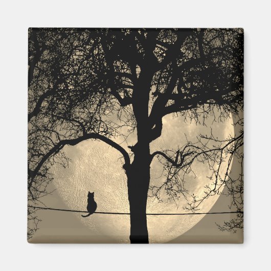 Katze auf einem Draht Vollmond Magnet (Vorne)