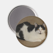 Katze auf einem Sofa Magnet (Vorderseite/Rückseite)