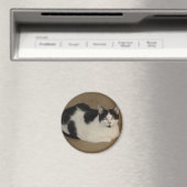 Katze auf einem Sofa Magnet (In Situ (Geschirrspüler))