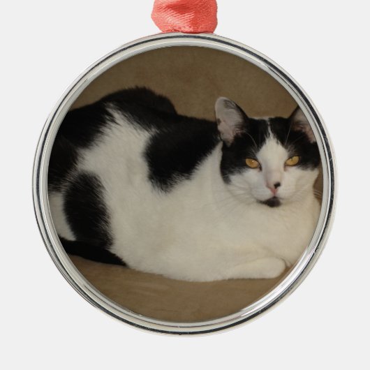 Katze auf einem Sofa Ornament Aus Metall (Vorne)