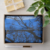 Katze auf einem Wirt Blue Moon Seidenpapier (Geschenk)