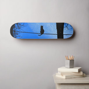Katze auf einem Wirt Blue Moon Skateboard