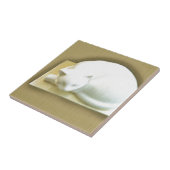 Katze auf Gold Box II Fliese (Seite)