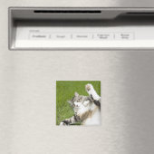 Katze auf Gras liegen, nah Magnet (In Situ (Geschirrspüler))