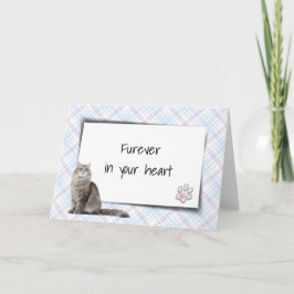 Katze auf Kariertem Tier-Loss-Beileid Karte