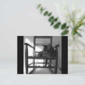 Katze auf Rocker Postkarte (Stehend Vorderseite)