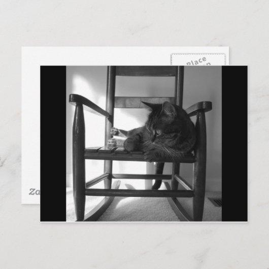 Katze auf Rocker Postkarte (Vorne/Hinten)