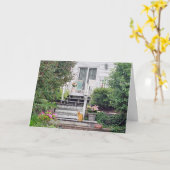 Katze auf Schritt Karte (Gelbe Blume)