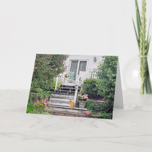 Katze auf Schritt Karte (Vorderseite)