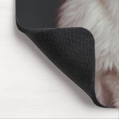 Katze auf schwarzem Hintergrund, nah-up Mousepad (Ecke)