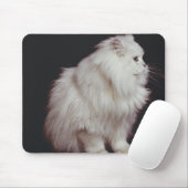 Katze auf schwarzem Hintergrund, nah-up Mousepad (Mit Mouse)