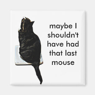 Katze auf Skalen Magnet