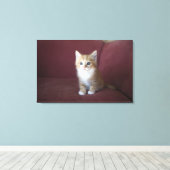Katze auf Sofa Leinwanddruck (Insitu (Holzboden))