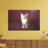 Katze auf Sofa Leinwanddruck (Insitu (Wohnzimmer))