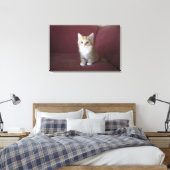 Katze auf Sofa Leinwanddruck (Insitu (Schlafzimmer))