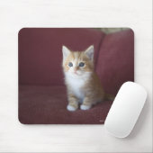 Katze auf Sofa Mousepad (Mit Mouse)