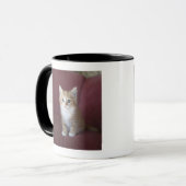 Katze auf Sofa Tasse (Vorderseite Links)