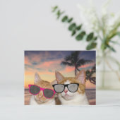 KATZE AUF STRANDSCHIFFEN "KUPPLUNG" Postkarten (Stehend Vorderseite)