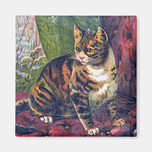 Katze auf Stuhl Magnet