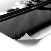 Katze auf Tasche Poster (Ecke)